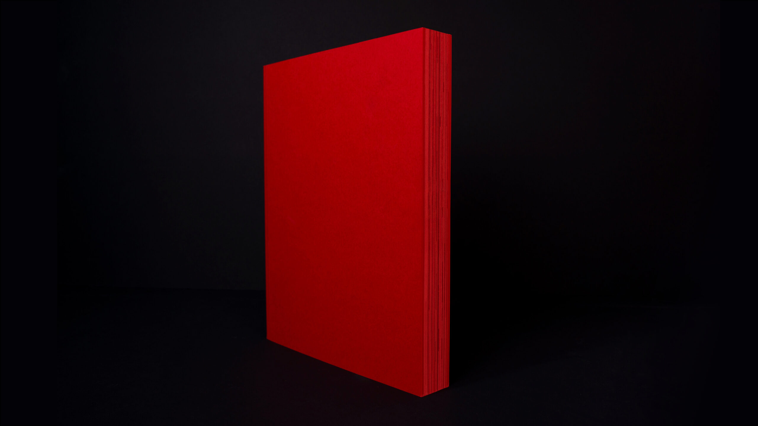 Cover Design / Editorial Design / Buchprojekt - schneider+schumacher 30 Jahre Buch