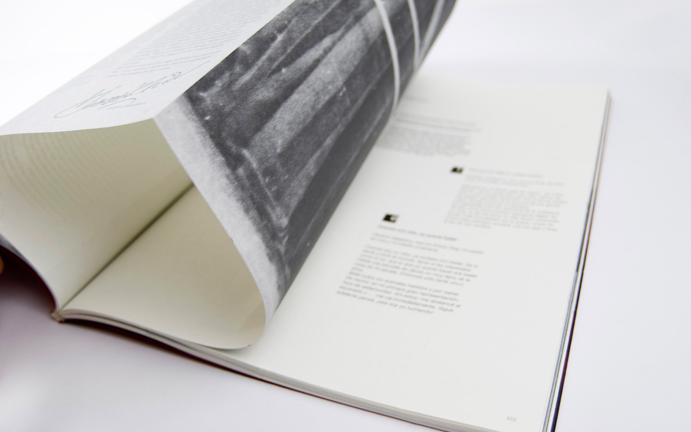 Buchprojekt (Editorial Design) - Dieter Blum - Malakhov Art Edition