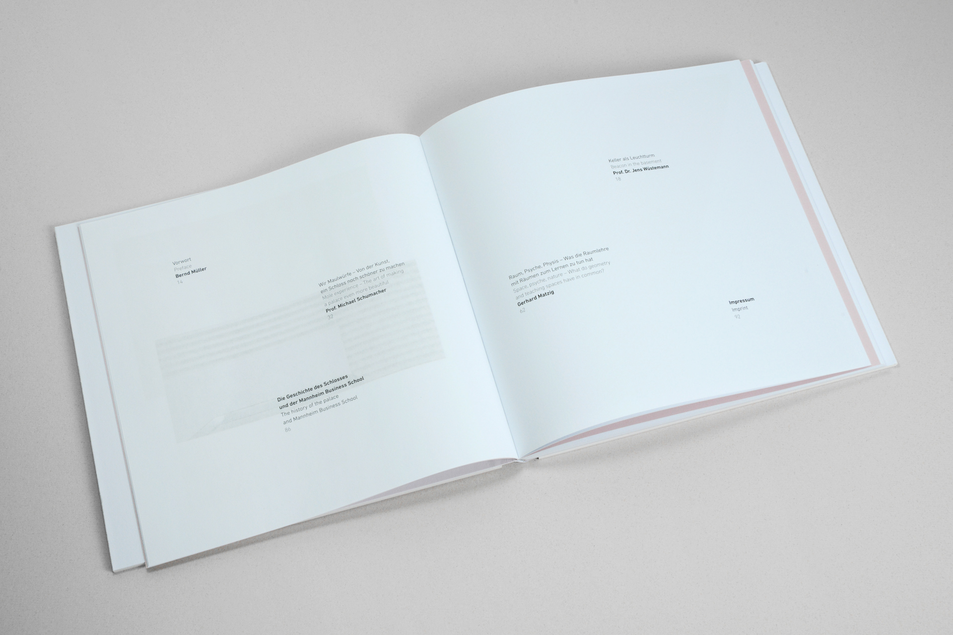 Buchprojekt (Editorial Design) - Mannheim Business School - schneider+schumacher